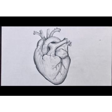 test_19